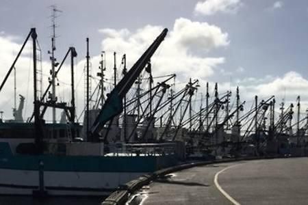 Port Lincoln Shark Apartment 3 외부 사진