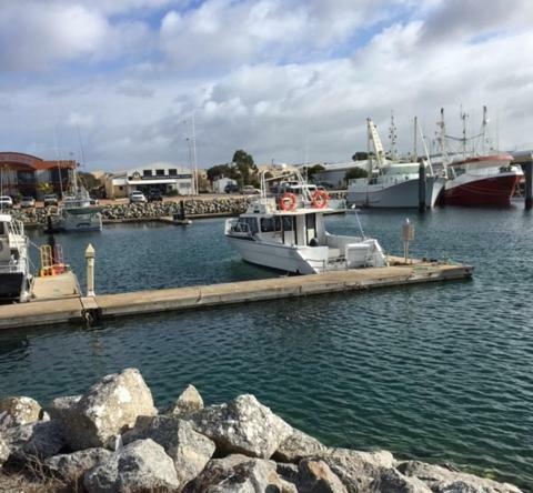 Port Lincoln Shark Apartment 3 외부 사진